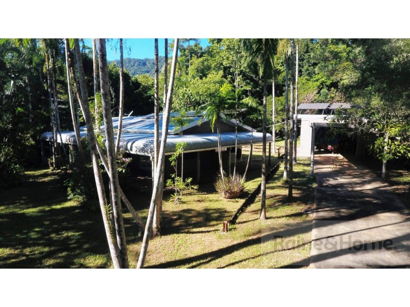 51 Wattle Close, Cow Bay, Daintree QLD 4873