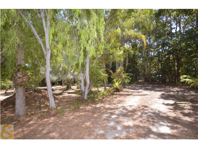 157-163 SOUTH ARM DRIVE, Wonga Beach QLD 4873
