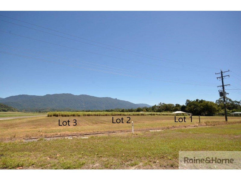 Lots 1-3, 142 TATI ROAD, Miallo QLD 4873