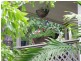 5 Tamarind, Port Douglas QLD 4877