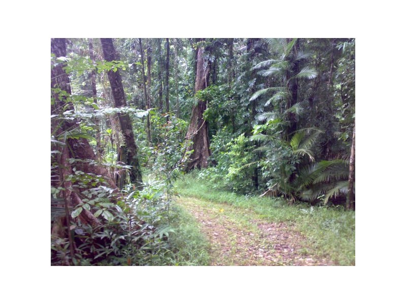 83 Rosewood Road, Cow Bay QLD 4873