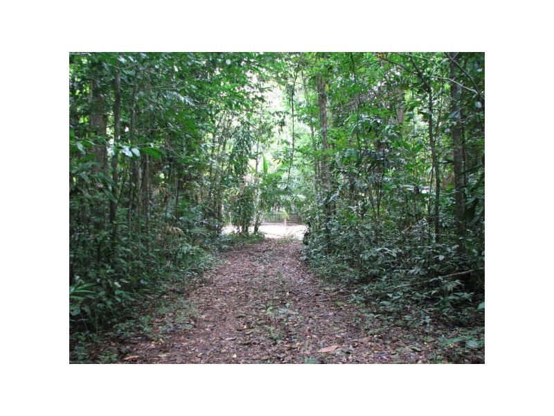 83 Rosewood Road, Cow Bay QLD 4873