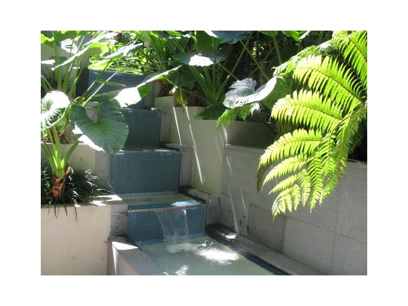 103 Coconut Grove, 56-64 Macrossan St,, Port Douglas QLD 4877