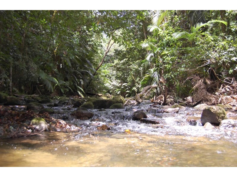 48 Churchill Creek Rd, Julatten QLD 4871