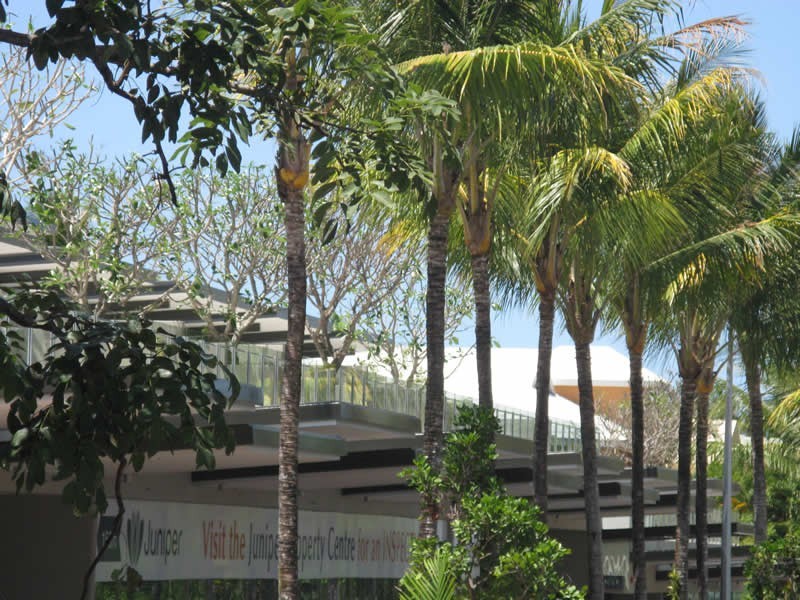 203 Coconut Grove, Port Douglas QLD 4877