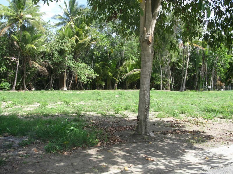 9 Cowrie Street, Port Douglas QLD 4877