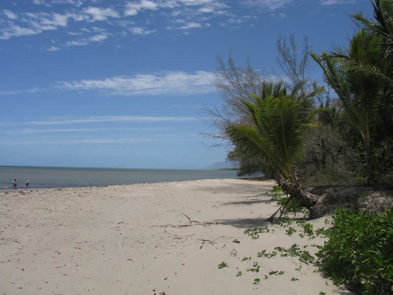 9 Cowrie Street, Port Douglas QLD 4877