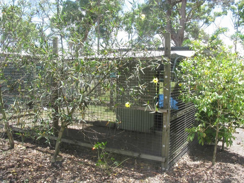 714 Euluma Creek Rd, Julatten QLD 4871