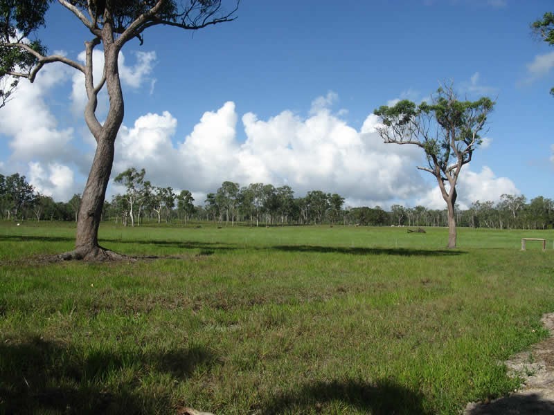 714 Euluma Creek Rd, Julatten QLD 4871