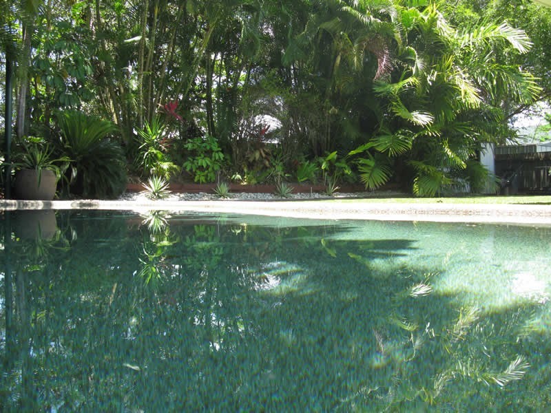29 Pecten Avenue, Port Douglas QLD 4877
