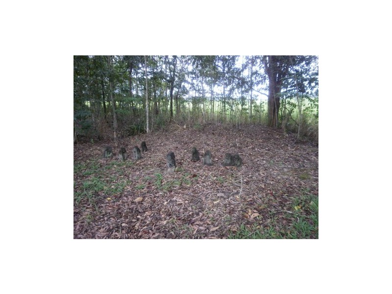 25 Rainforest Drive, Julatten QLD 4871