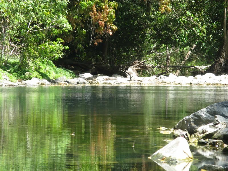 Lot 2 Spring Creek Rd, Mowbray QLD 4877