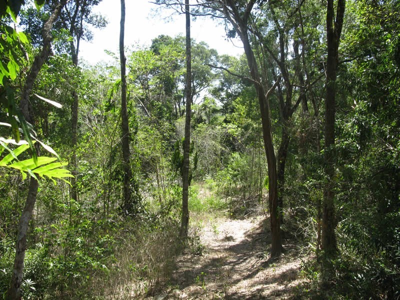 Lot 2 Spring Creek Rd, Mowbray QLD 4877