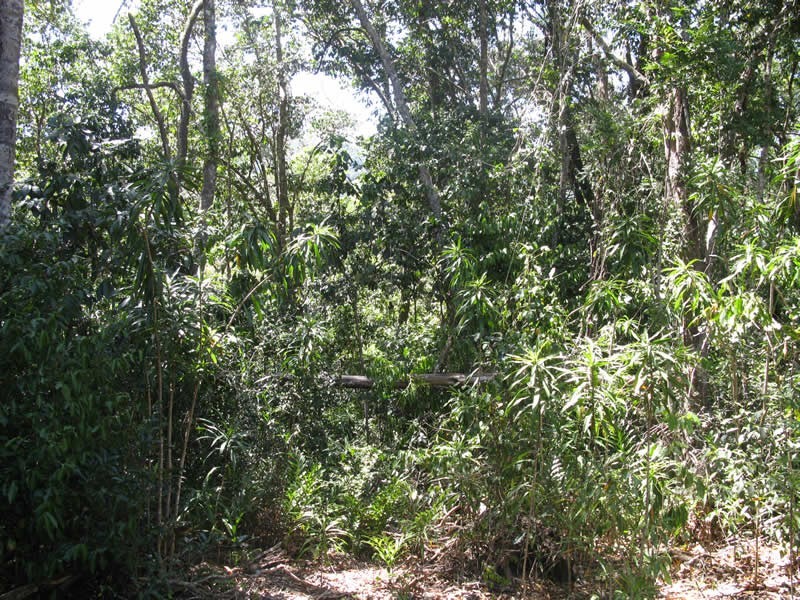 Lot 2 Spring Creek Rd, Mowbray QLD 4877