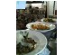 1 The Junction Cafe, Mossman QLD 4873