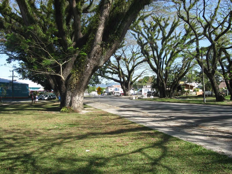 1 The Junction Cafe, Mossman QLD 4873