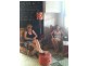 1 The Junction Cafe, Mossman QLD 4873