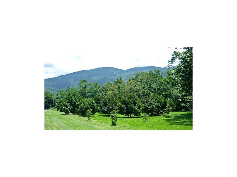 Lot 1 Kingfisher Lane, Miallo QLD 4873