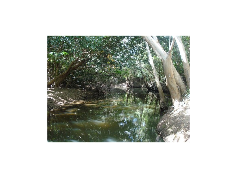 4 Little Street, Mount Molloy QLD 4871