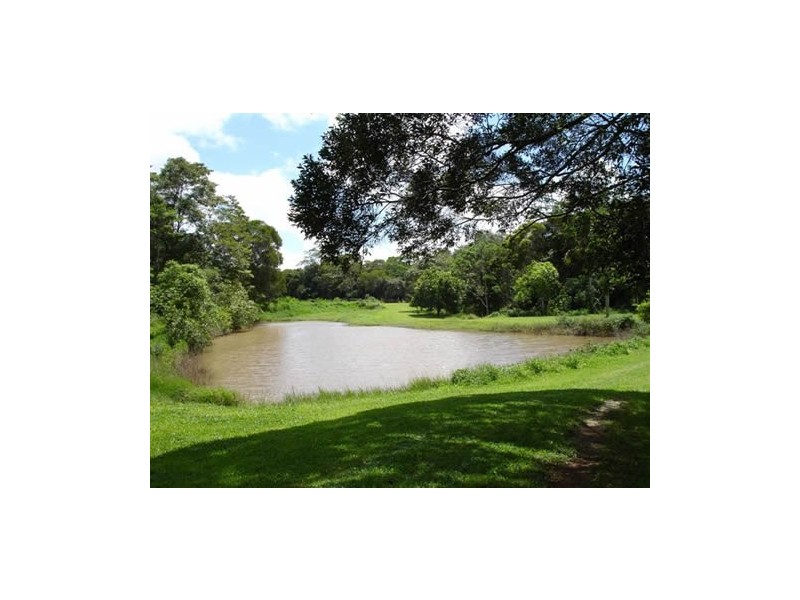 LOt 10 Mt Perseverance Rd, Julatten QLD 4871