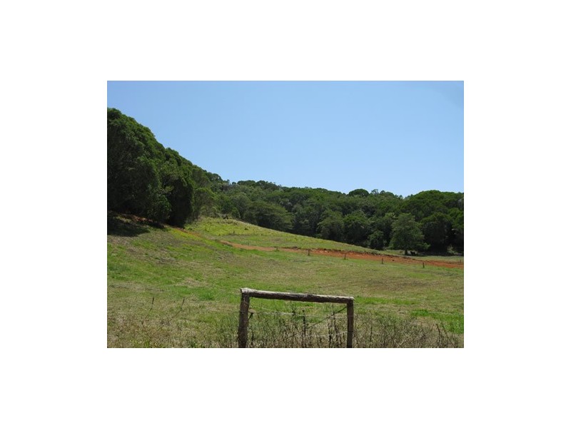 LOt 10 Mt Perseverance Rd, Julatten QLD 4871