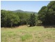 LOt 10 Mt Perseverance Rd, Julatten QLD 4871