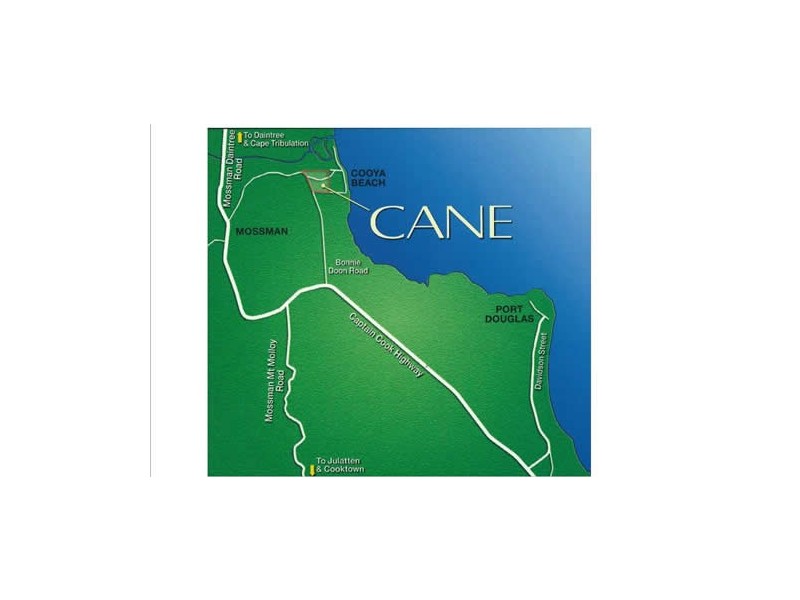 Lot 162 Cooya Beach Rd, Cooya Beach QLD 4873