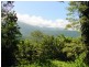 Lot 241 Carbeen Road. DIWAN, Daintree QLD 4873