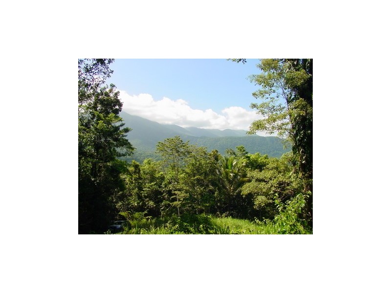 Lot 241 Carbeen Road. DIWAN, Daintree QLD 4873