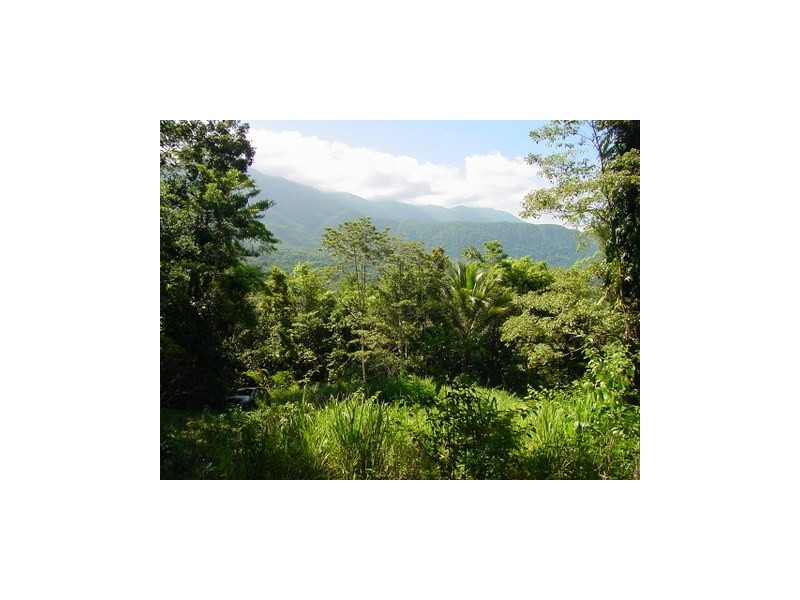 Lot 241 Carbeen Road. DIWAN, Daintree QLD 4873