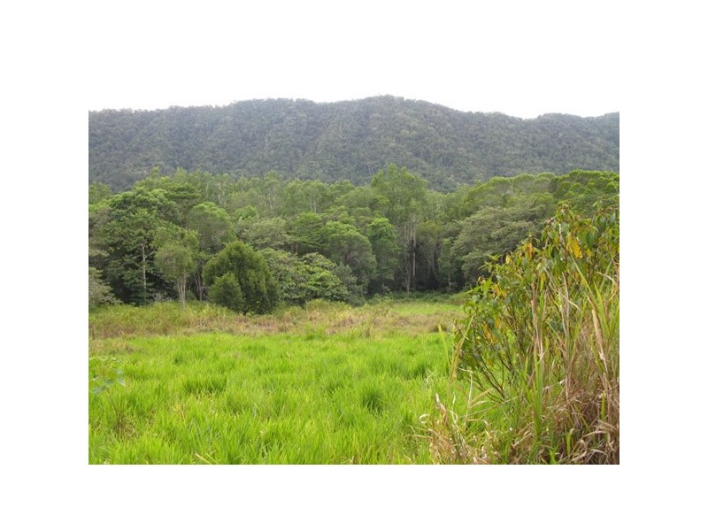 Lot 45 Ronald, Forest Creek QLD 4873