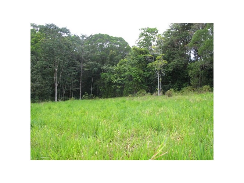 Lot 45 Ronald, Forest Creek QLD 4873
