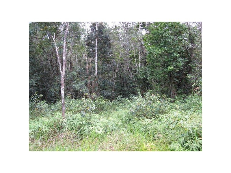 Lot 45 Ronald, Forest Creek QLD 4873