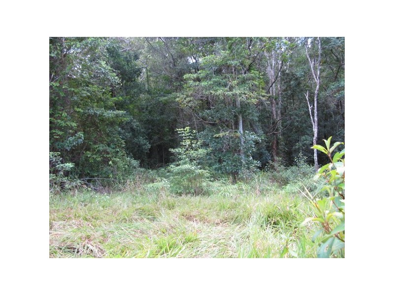 Lot 45 Ronald, Forest Creek QLD 4873