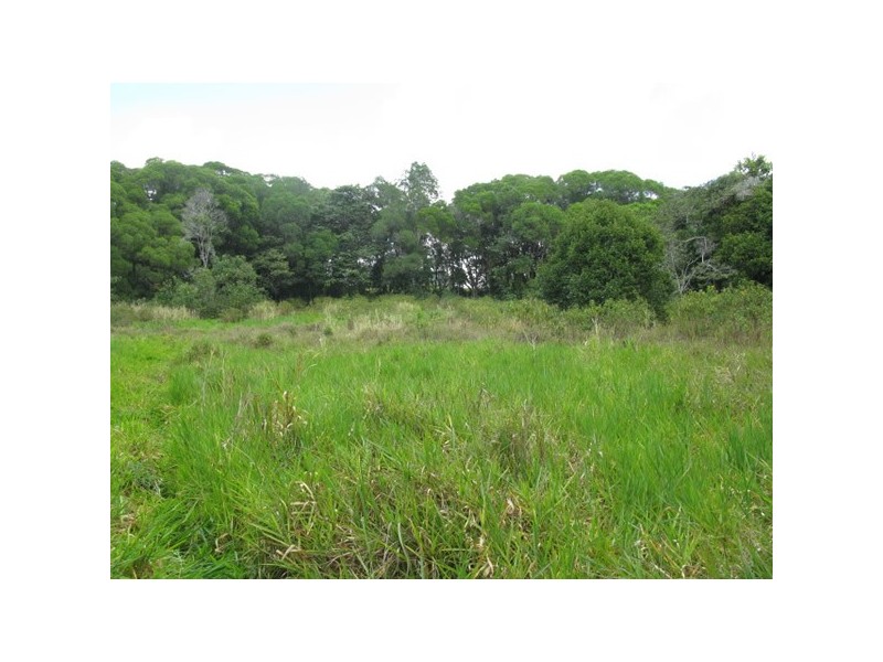 Lot 45 Ronald, Forest Creek QLD 4873