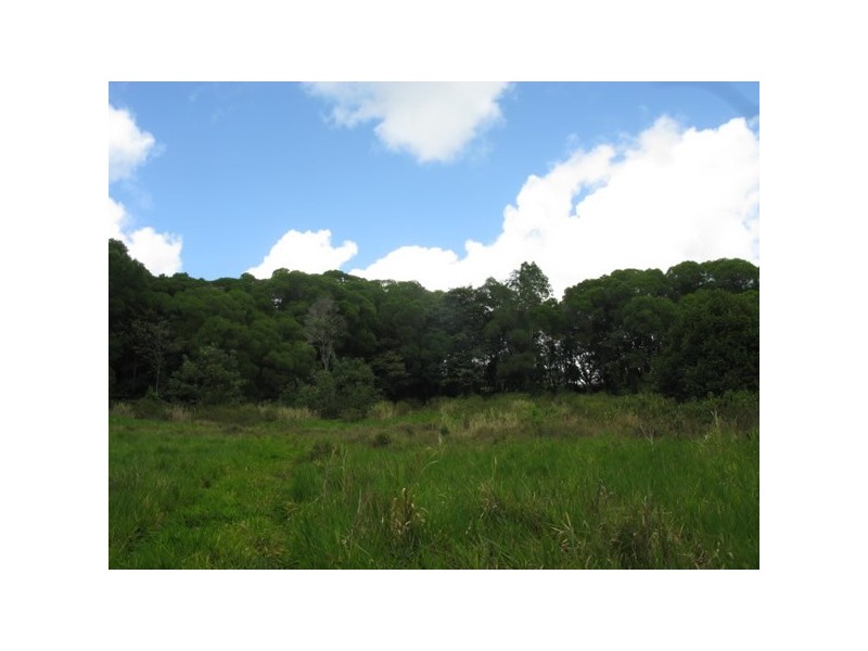 Lot 45 Ronald, Forest Creek QLD 4873