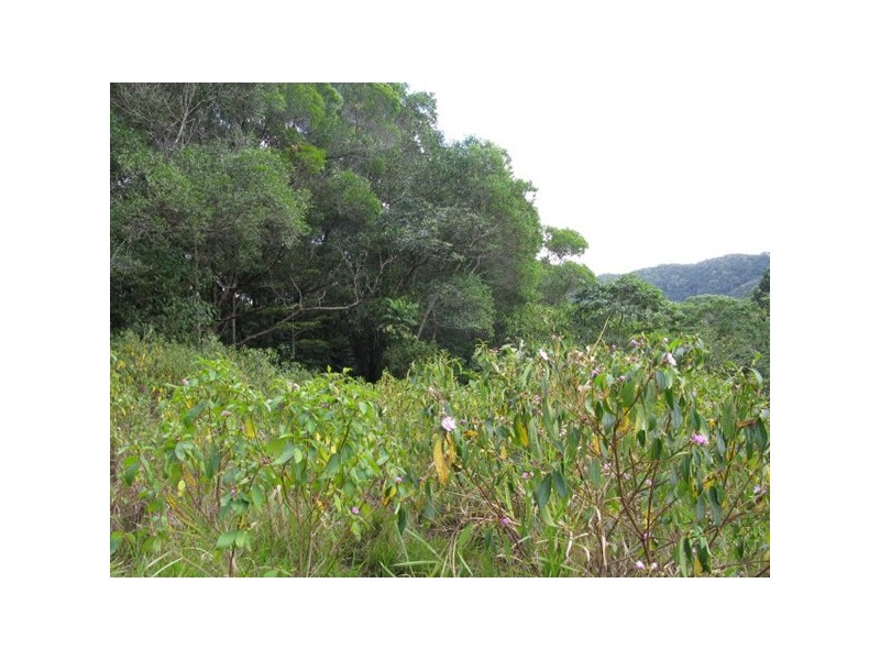 Lot 45 Ronald, Forest Creek QLD 4873