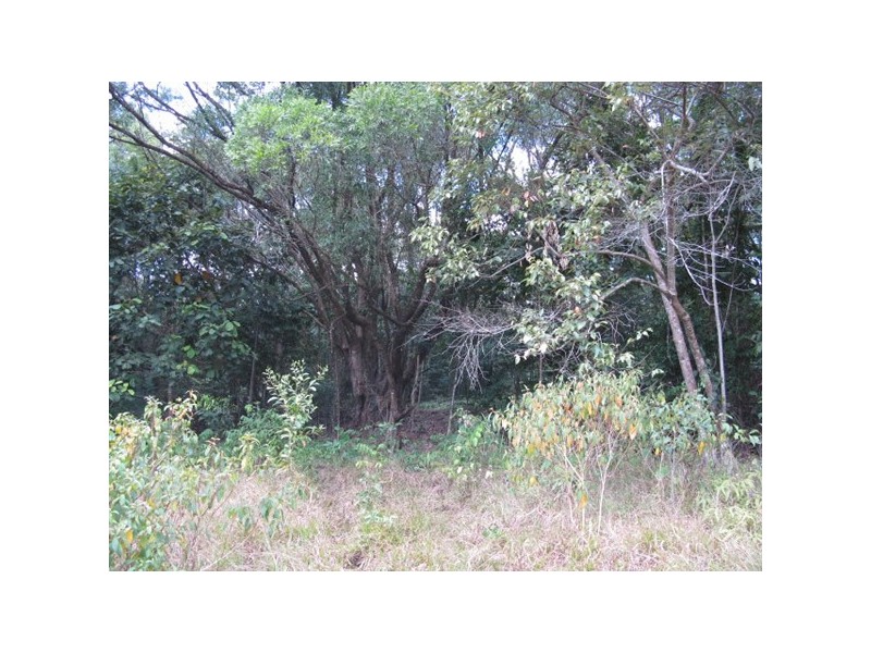 Lot 45 Ronald, Forest Creek QLD 4873