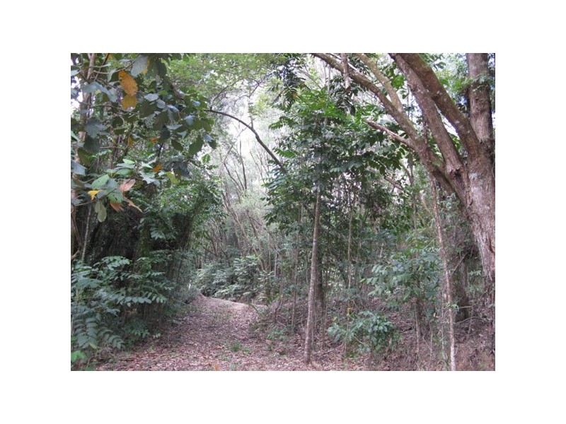 Lot 45 Ronald, Forest Creek QLD 4873