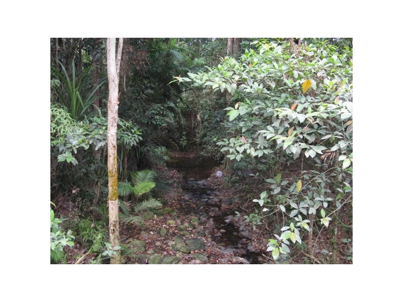 Lot 45 Ronald, Forest Creek QLD 4873