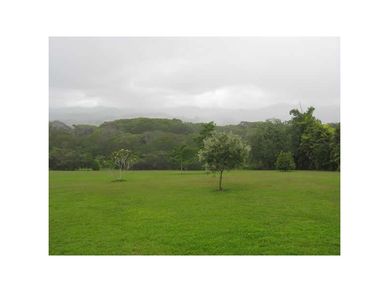 176 EULUMA CREEK, Julatten QLD 4871