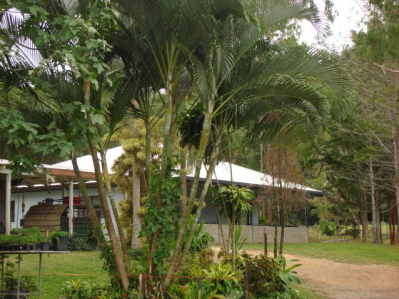 69 McLean Bridge Rd, Julatten QLD 4871