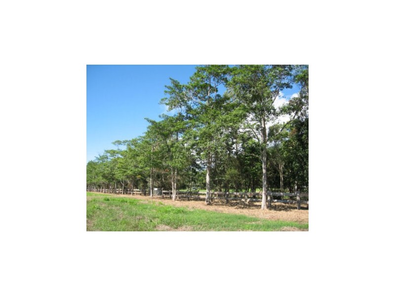 0 FERRERO ROAD, Craiglie QLD 4877