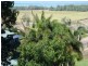 6  Hibiscus ct Rocky Point, Port Douglas QLD 4877