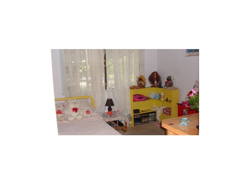 14 Dagmar, Daintree QLD 4873