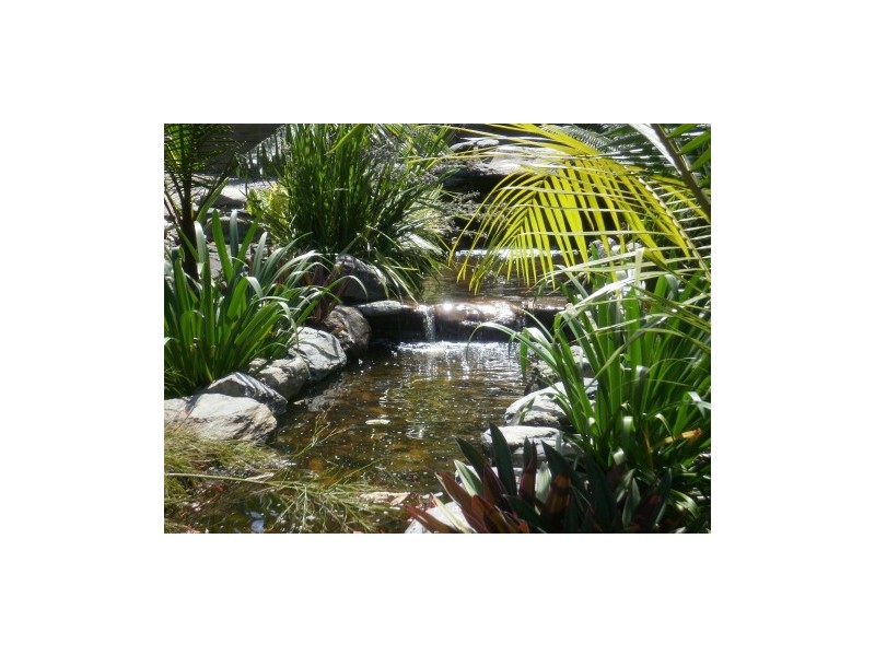 Lot 5 KINGSTON, Port Douglas QLD 4877