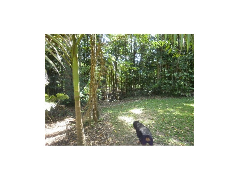 Lot 5 KINGSTON, Port Douglas QLD 4877