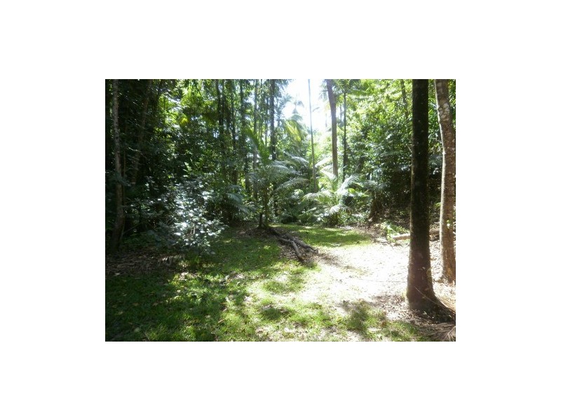 Lot 5 KINGSTON, Port Douglas QLD 4877