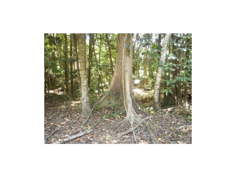 Lot 5 KINGSTON, Port Douglas QLD 4877