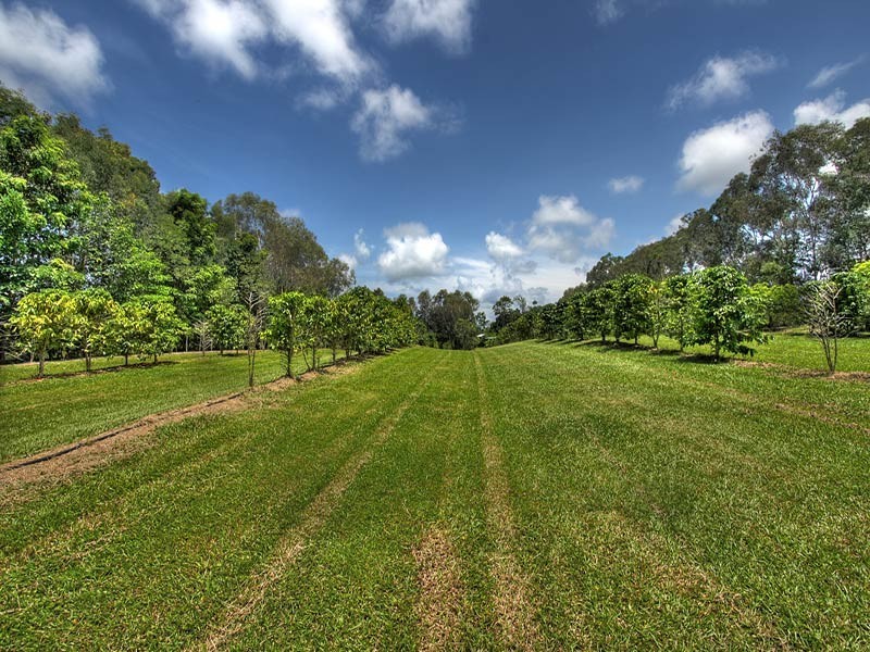 193 Highland Drive, Julatten QLD 4871